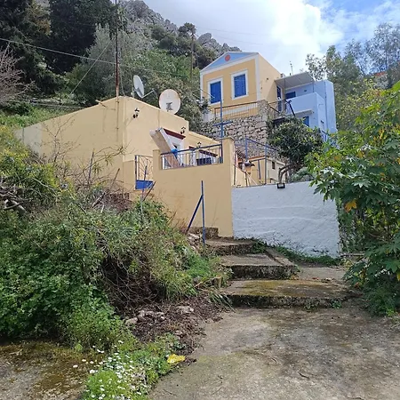 Nest Symi